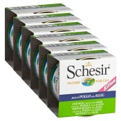 Schesir macici piletina s aloe verom u želeu 6 x 85 g
