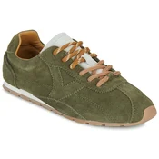 Victoria  Aster  Kaki