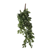 Dekordom 1074947 Cvet syngonium 54cm - green - edl ( 040438 )