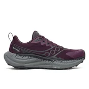 Saucony Ride TR3 GTX