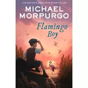 Flamingo Boy
