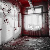AUDIBOOK Avdio knjiga: Enjian