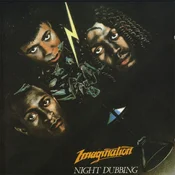 Imagination - Night Dubbing (LP)