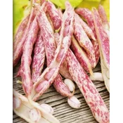 FIŽOL VISOKI BORLOTTO LINGUA DI FUOCO 500gr