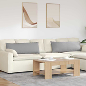 Jastucici za sofu 2 pcs Oblacnosiva 120 x 40 cm tkanina