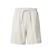 ADIDAS SPORTSWEAR Športne hlače LIN SJ svetlo siva/bela