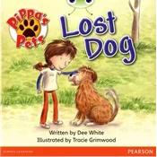 Bug Club Yellow A Pippas Pets: Lost Dog
