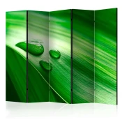 Paravan u 5 dijelova - Leaf and three drops of water II [Room Dividers] 225x172