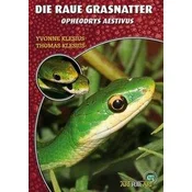 Art für Art Nattern 19. Die Raue Grasnatter