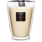 Baobab Madagascar Vanilla dišeča sveča  24 cm