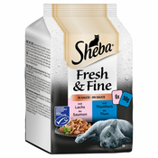 Ekonomično pakiranje Sheba Fresh & Fine 72 x 50 g - Puretina i piletina u želeu