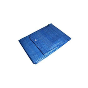 Enpro Jadrati Covering tarpaulin ECONOMY, 4 x 5 m, 55 g/m?, blue
