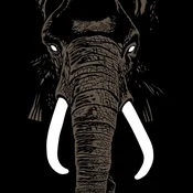 Palm Unit - Dont Buy Ivory Anymore - The Music Of Henri Texier (Limited Edition) (LP)