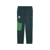Morocco PUMATECH Sweatpants Men, Football, Green Terrain/Victory Gold, L