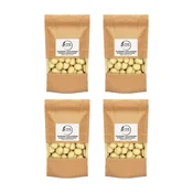 Liofilizirane jagode v beli čokoladi 1 kg