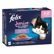 Multi pakiranje Felix Junior Fantastic So gut wie es aussieht 24x85 g - Piščanec, govedina, losos, sardina