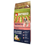 Ontario hrana za pse Puppy & Junior Large Chicken & Potatoes, 12 kg