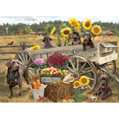 Cobble Hill - Puzzle Choc Wagon - 500 kosov
