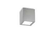 STROPNA SVETILKA TECHO PL1 MALA SIVA GU10 IP54 ID326894