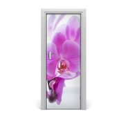 tulup.si Nalepka na vratih Roza orhideje 75x205 cm