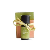 Set Revive Essential Oil Blend 10 ml