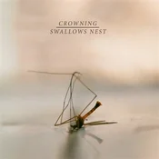 Crowning & Oaktails - Split EP (LP)
