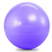 SEDCO Gimnastična žoga 60 cm SEDCO SUPER