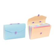 Viquel expanding fascikla sa 12 pregrada, sa ruckom i kopcanjem rainbow pastel sortirano ( 04CK33 )