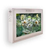 WALLXPERT Puzzle PZL_0124_500