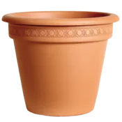 Saksija camellia 32cm