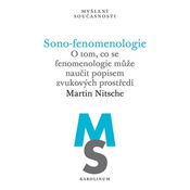 Sono-fenomenologie