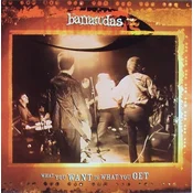 Barracudas - What You Want Is What You Get (7)