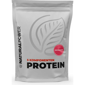 Natural Power 5-komponentni proteini 500g