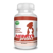 Golash Pharma HEPATOPROTECT- tablete za pse in mačke za podporo delovanju jeter 80 tablet