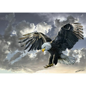 Art puzzle - Puzzle Bald Eagle - 500 kosov