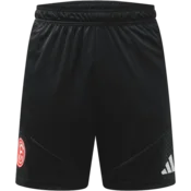 adidas Kratke hlače Fortuna Düsseldorf Training 2026/27