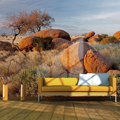 Foto tapeta - African landscape Namibia 350x270