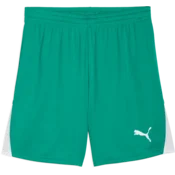 Puma Kratke hlače teamLIGA26
