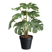 Veštacka Biljka Spliphilodendron