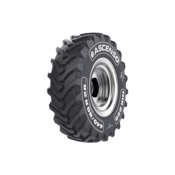 ASCENSO 500/70 R24 164A8/B MIR220