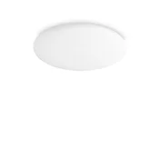 LED STROPNA SVETILKA PL D58 ID261188