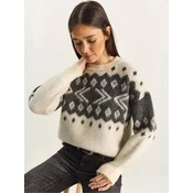 Bianco Lucci Pulover Pullover siva