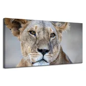 shumee Platno s sliko Živali Levinja 120x60 cm