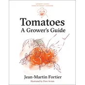 Tomatoes