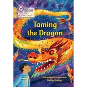Taming the Dragon