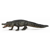 COLLECTA Ameriški aligator