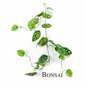 Monstera umetna plezalka 120 cm - zelena - 101 do 150 cm