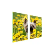 shumee STEKLENA ZAŠČITNA KROŽNIKA ZA KUHINJO 65x52 DOG