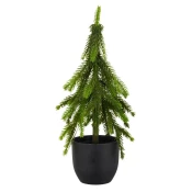 Veštačka Biljka 37cm Tanne I