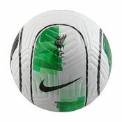 Nike LFC ACADEMY, nogometna lopta, bijela FB2899